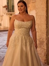 Curvy Brides